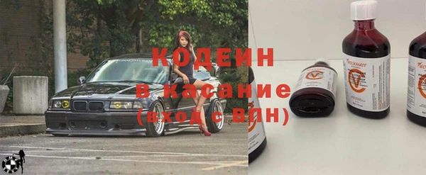 шишки Гусев