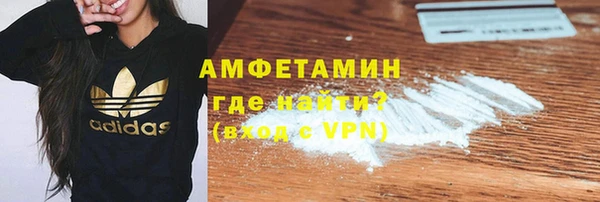 шишки Гусев
