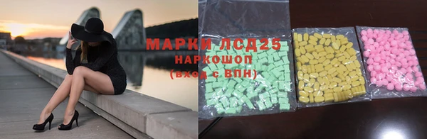 шишки Гусев