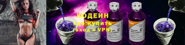ешки Гусь-Хрустальный