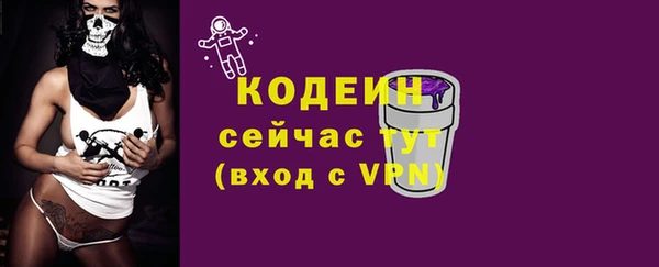 шишки Гусев