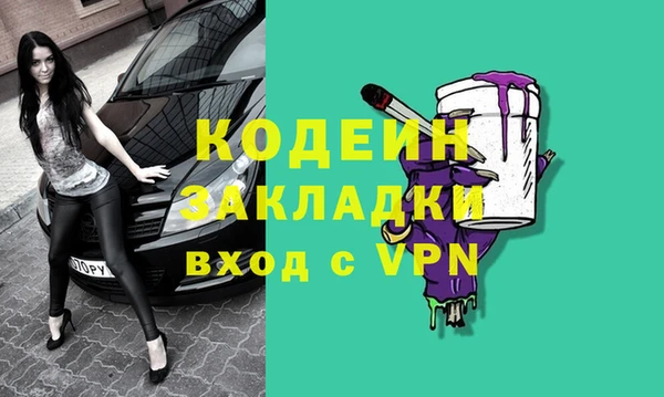 шишки Гусев