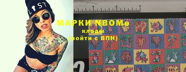 ешки Гусь-Хрустальный