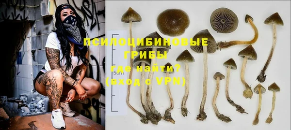 шишки Гусев