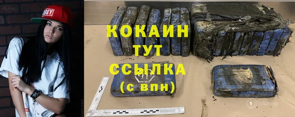 шишки Гусев