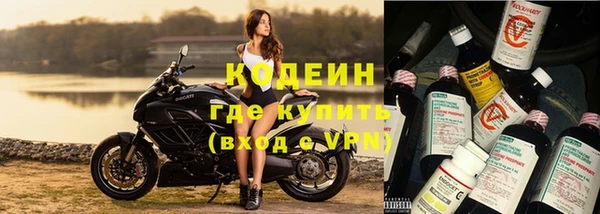 шишки Гусев