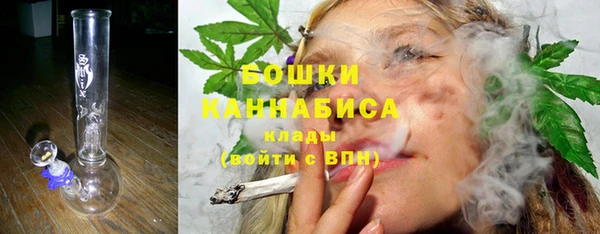 шишки Гусев