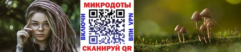 Купить  Качканар  Псилоцибиновые грибы Cubensis 